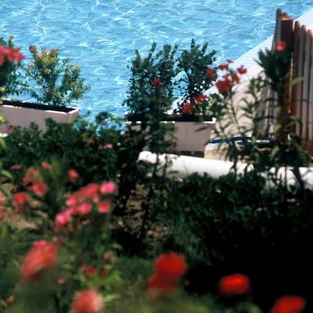Katerina Palace Otel Argassi
