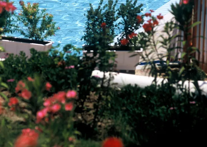 Katerina Palace Otel Argassi