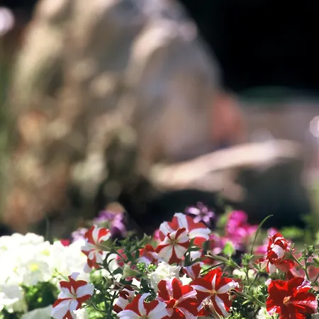 Hotel Katerina Palace